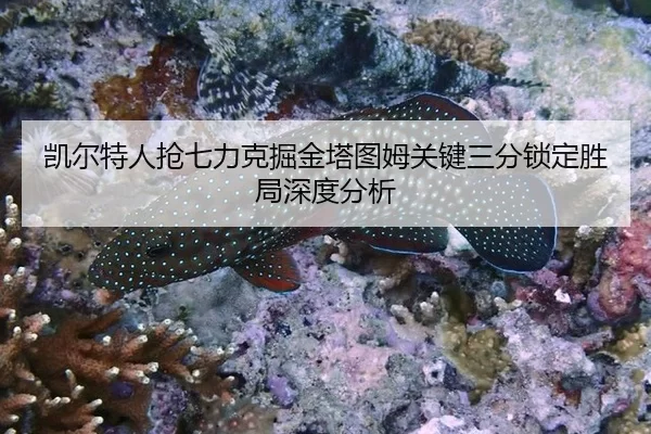 kai-er-te-ren-qiang-qi-li-ke-jue-jin-ta-tu-mu-guan-jian-san-fen-suo-ding-sheng-ju-shen-du-fen-xi-2-411.jpg